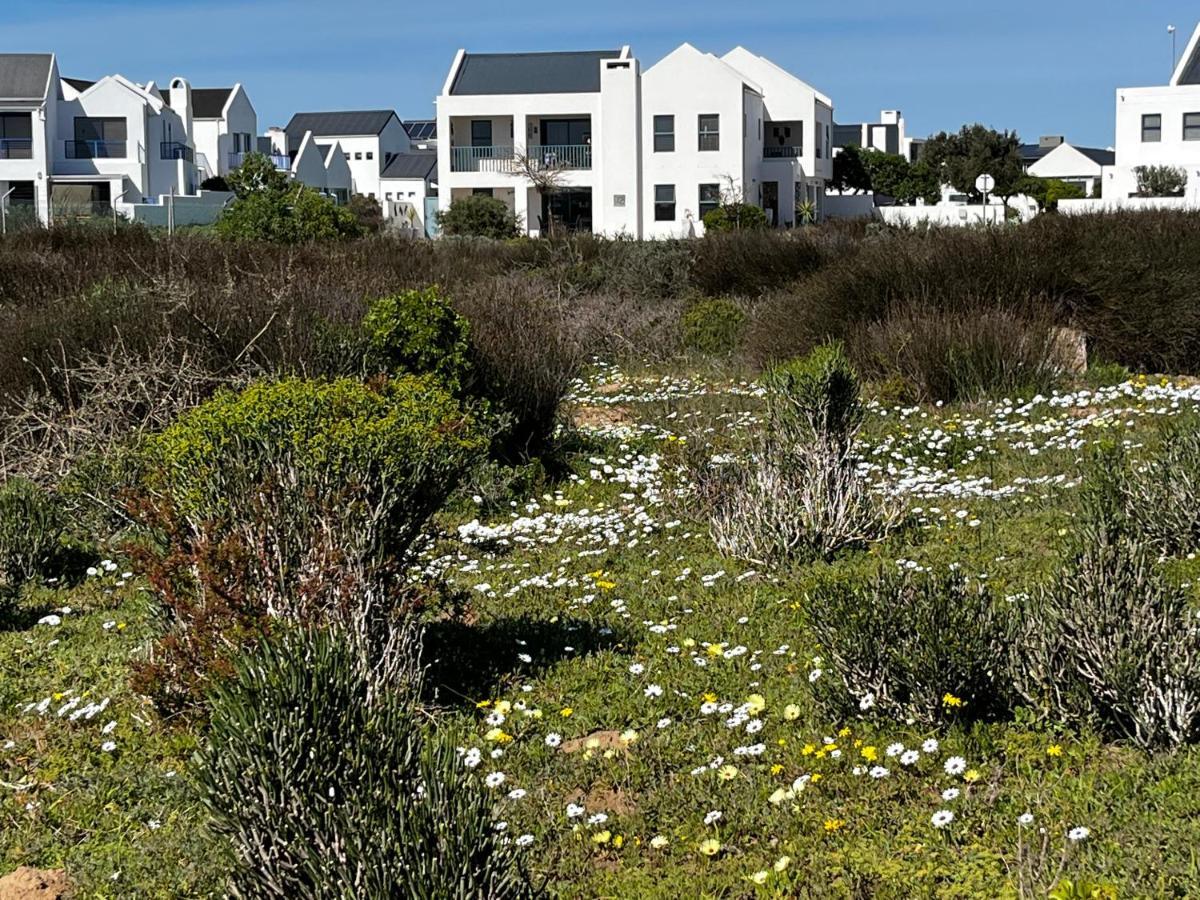 Clam Lagoon Langebaan Esterno foto